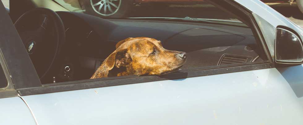 社員インタビュー